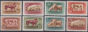 HUNGARY Sc# 929-32,C87-90 CPL MNH  ISSUED to ENCOURAGE INCREASED LIVESTOCK PROD