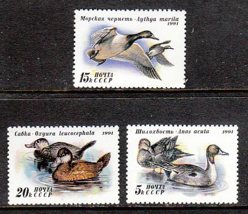 Russia Birds 6009-6011 MNH  VF