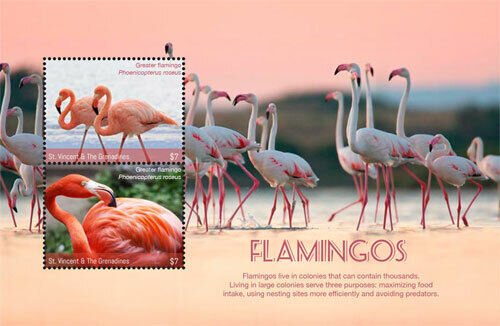 St. Vincent 2017 - Flamingos, Birds, Fauna and Flora - Sheet of 2 Stamps - MNH