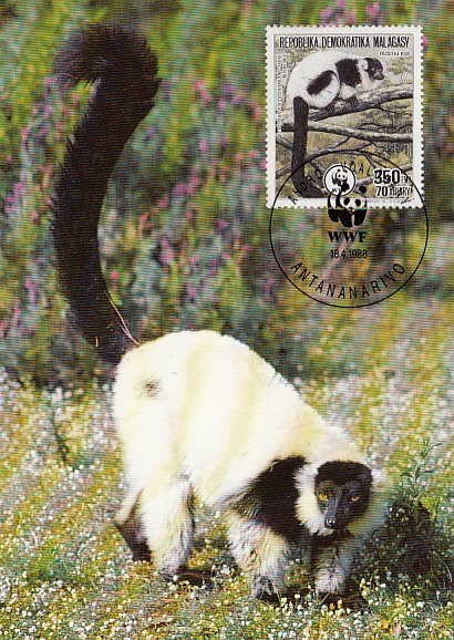 Madagascar 1988 Maxicard Sc #839 350fr Ruffled lemur WWF