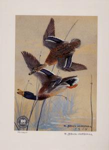 OREGON #10 1993 STATE  DUCK STAMP PRINT MALLARDLS  by R. Brice Jprsfa;;