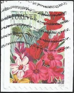 # 5042 Used Botanical Art Corn Lilies