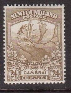 Newfoundland #125 VF Mint