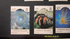 Cayman Islands 1987 SeaLife Re-Issue Scott# 562a-573a complete MNH XF