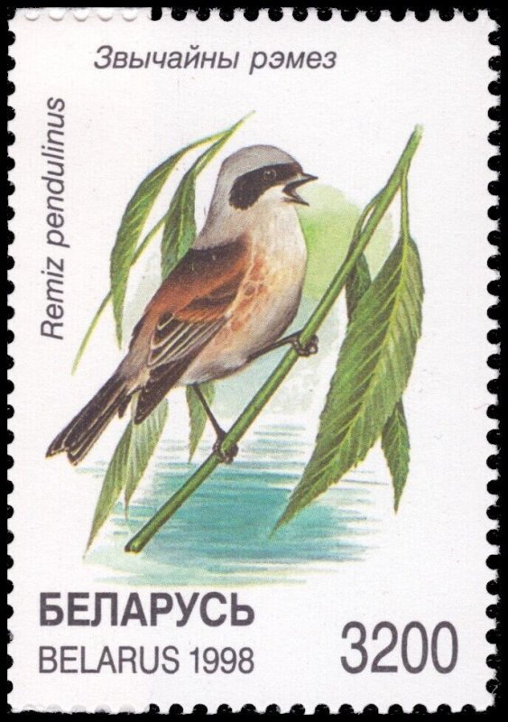 Belarus 1995 Sc 243-247 Birds Nightingale Tit Warbler Songbirds 