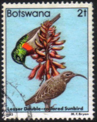 Botswana - 1982 Birds 2t Sunbird Used SG 516