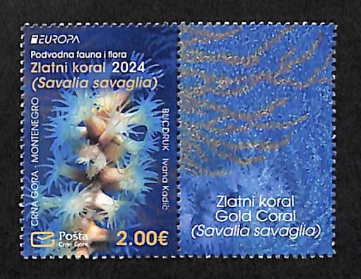 Montenegro 2024, Europa, marine life 1v tab, MNH