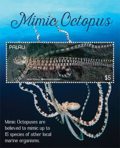 Palau 2019 - Mimic Octopus - Souvenir Stamp sheet - Scott #1431 - MNH