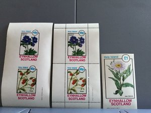 Scotland Holy Island Flowers plants Aster Sibiricus  MNH stamps  R24130
