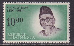 Indonesia (1961-62) #541 MNH