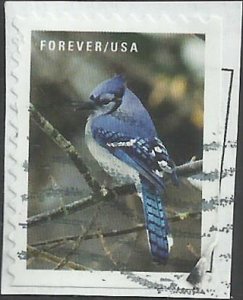 # 5537 Used Winter Scenes