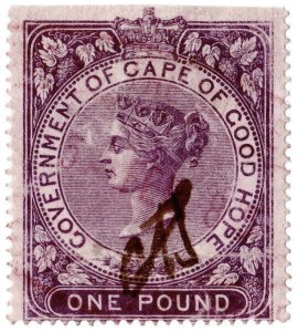 (I.B) Cape of Good Hope Revenue : Stamp Duty £1 (1873)