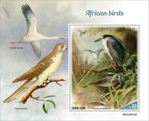 2022 10-SIERRA LEONE - AFRICAN BIRDS  I        1V  complet set    MNH ** T