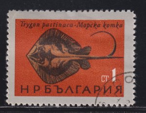 Bulgaria 1403 Fish of the Black Sea - Sting Ray 1965