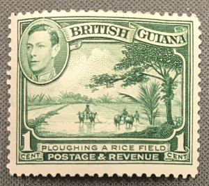 British Guiana # 230 Mint