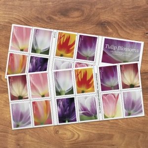 Tulip Blossoms 5 Books of 20 100pcs Forever Stamps