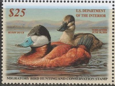 US Stamp #RW82 MNH Pair of Ruddy Ducks on the Water Single, Cut From Press Sheet