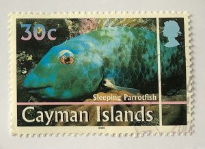 Cayman Islands 2000 Scott 804 used - 30c, Marine life, Sleeping Parrotfish