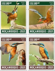 Mozambique - 2021 Common Kingfisher Birds - Set of 4 Stamps - MOZ210307a