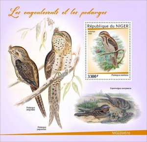 NIGER - 2022 - Nightjars & Frogmouths - Perf Souv Sheet - Mint Never Hinged