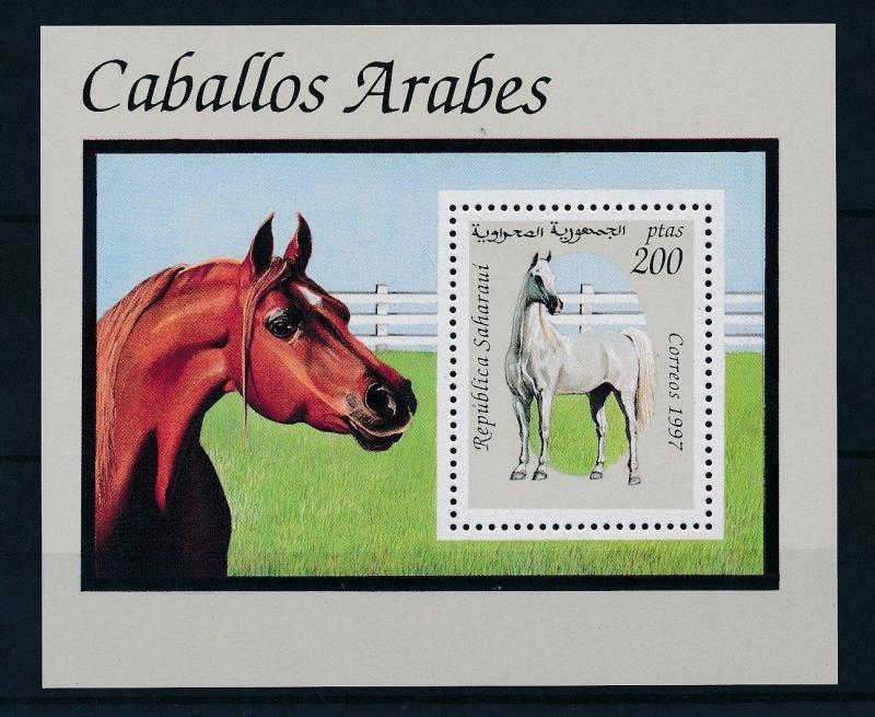 [25671] Sahara OCC 1997 Farm Animals Horses MNH