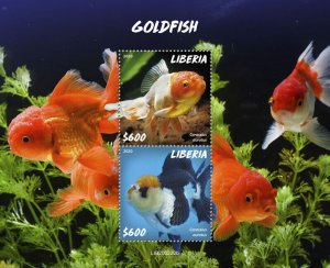 Liberia Fish Stamps 2020 MNH Goldfish Fishes Domestic Animals 2v S/S