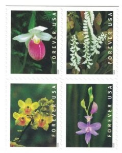 2020 Wild Orchids 5 Booklets 100pcs