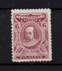 Newfoundland 1910 bc Claret Mint LHM SG100A WS36414