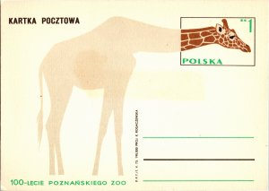 Poland, Worldwide Government Postal Card, Animals