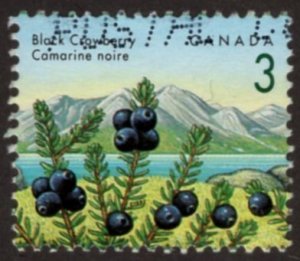 1351vii Edible Berries Definitives