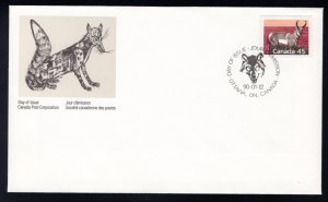 1172 Scott, FDC, Canada, Pronghorn, 45c, 1990, Jan 12