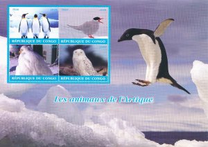 Birds on Stamps 2018 CTO Arctic Animals Penguins Owls Snowy Owl Terns 4v M/S