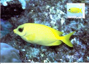 Australia 2010 Maxicard Scott #3270 5c Coral rabbitfish