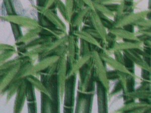 ​CHINA-1993 SC# 2448a    PANDA HOLOGRAM OVPT. HONG KONG'96 STAMP SHOW S/S