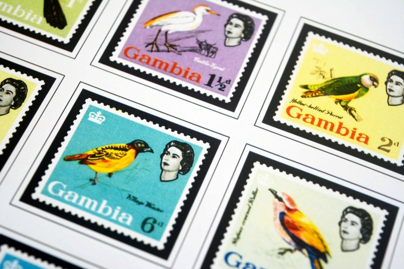 COLOR PRINTED GAMBIA 1869-1965 STAMP ALBUM PAGES (12 illustrated pages)