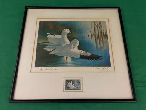 1970 Federal Duck Stamp Print Ross Geese by Edward Bierly