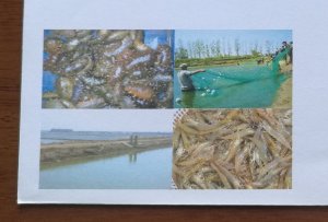 Sea cucumber,Shrimp aquaculture,Net fishing,CN08 Oceanic and Fishery Bureau PSE