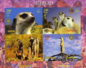 Somalia 2004 AFRICAN MEERKATS LIONS & ROTARY Sheet (4) Imperforated Mint (NH)