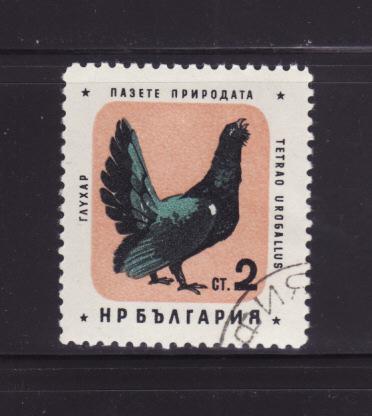 Bulgaria 1149 U Birds, Capercaillie