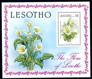 [66899] Lesotho 1987 Flora flowers blumen fleur Souvenir sheet MNH