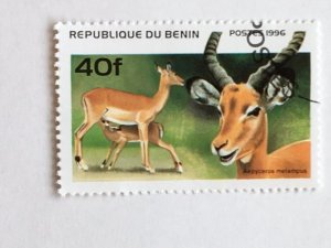 Benin – 1996 – Single “Mammal” Stamp – SC# 930 - CTO
