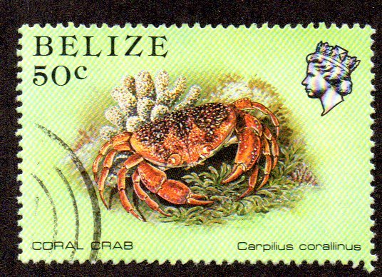 BELIZE 708 USED BIN $1.00 MARINE LIFE