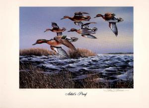 GEORGIA #7 1991 STATE DUCK PRINT GREEN WINGED TEAL ARTIST PROOF By Phillip Crowe