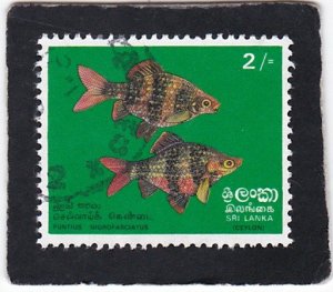 Sri Linka,  #  476  used