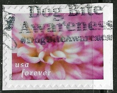 US ~ Scott # 5996 ~ Used on paper ~ Dahlias