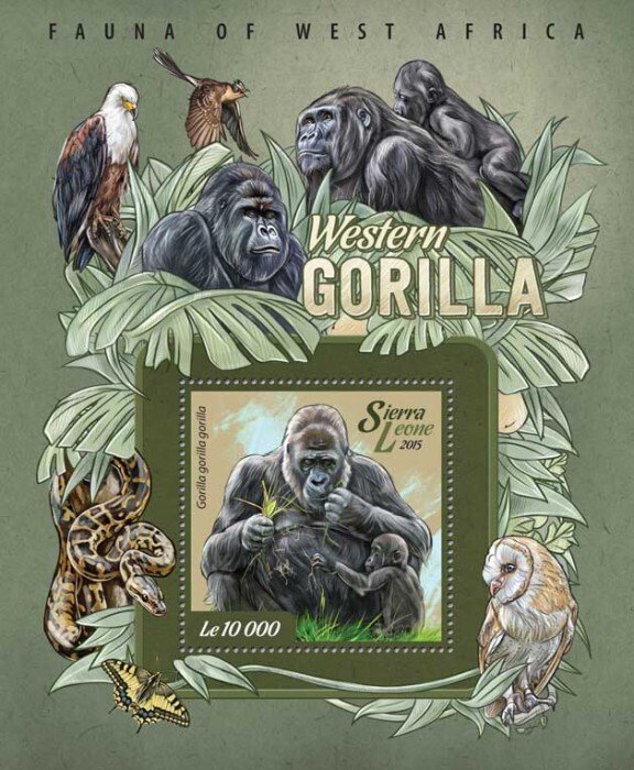 SIERRA LEONE - 2015 - Western Gorillas - Perf Souv Sheet - Mint Never Hinged