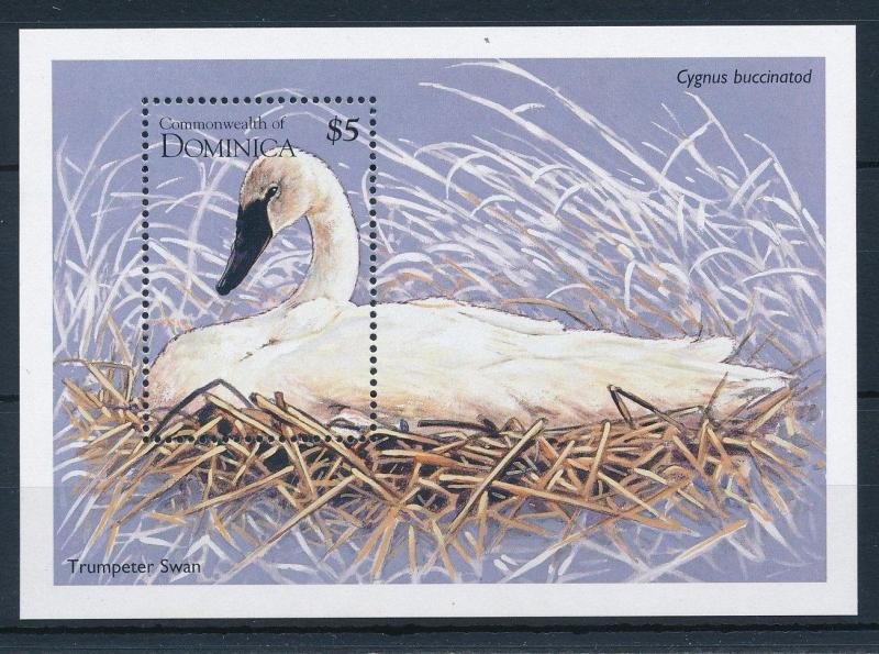 [29675] Dominica 1995 Birds Vögel Oiseaux Ucelli Swan MNH Sheet