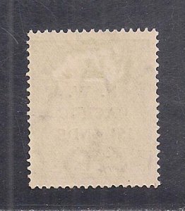 NORTHWEST PACIFIC ISLANDS SC #39  F/MOG