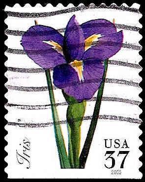 # 3903 USED IRIS