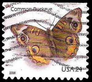 # 4001a USED COMMON BUCKEYE BUTTERFLY